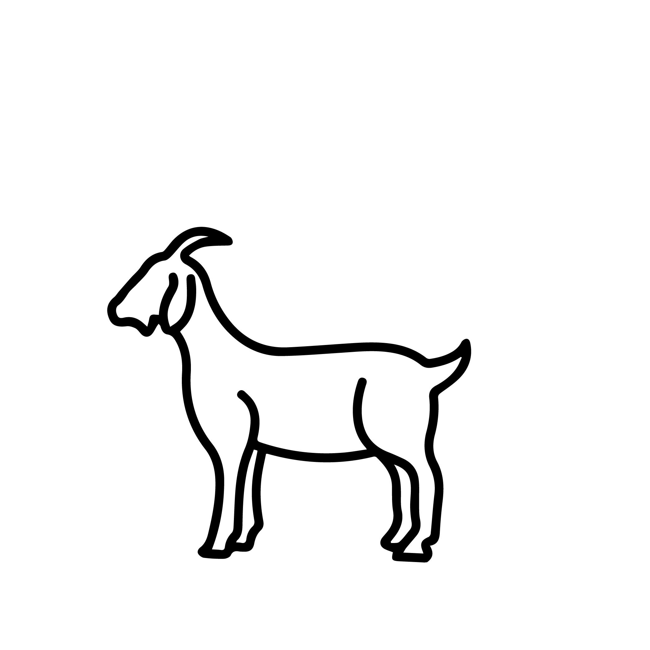 grafica caprini e ovini