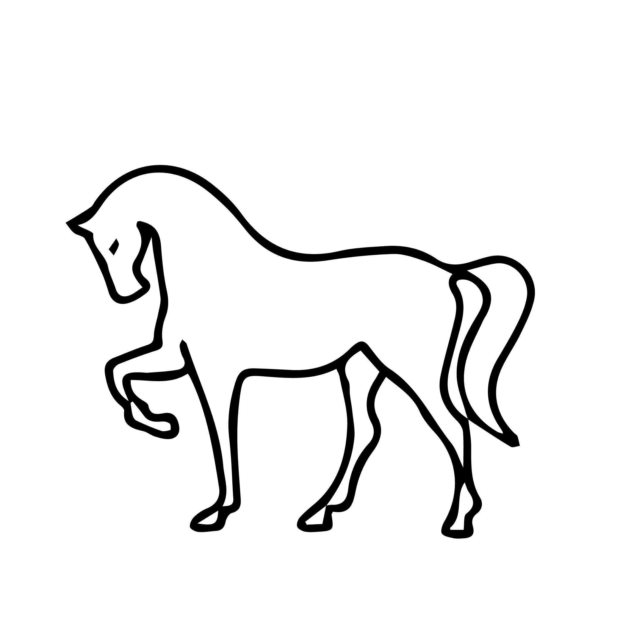 grafica equino
