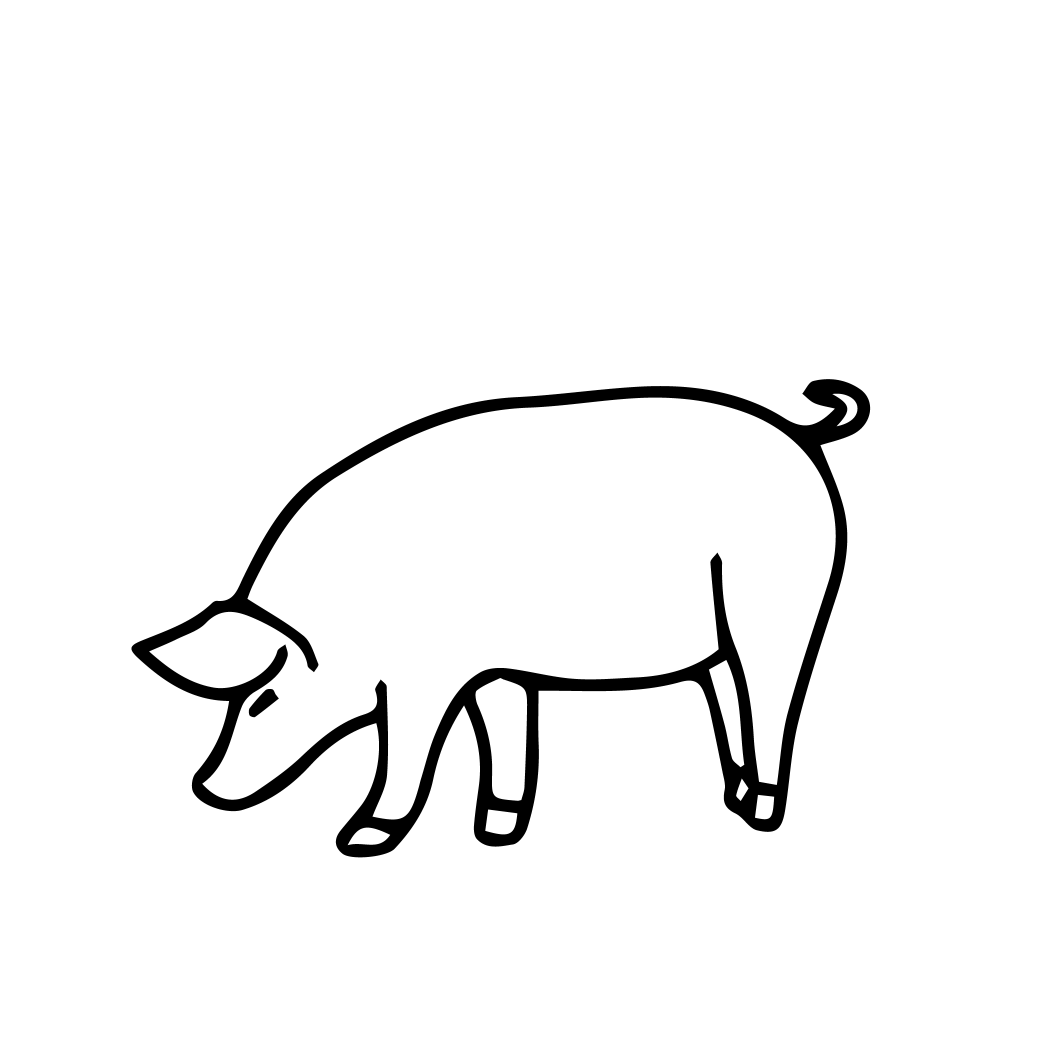grafica suini