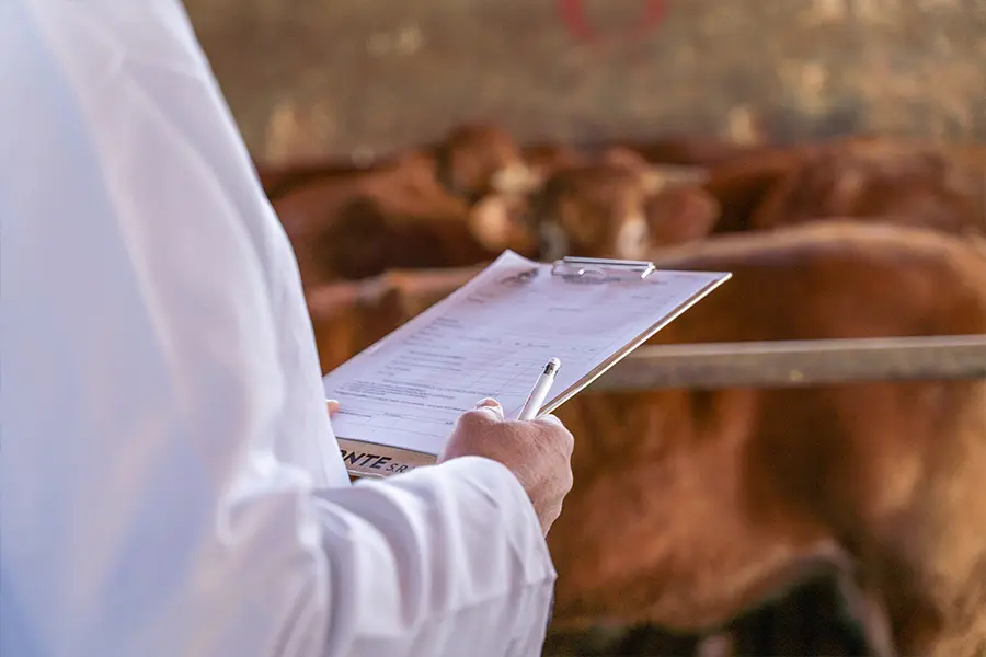 carne certificata